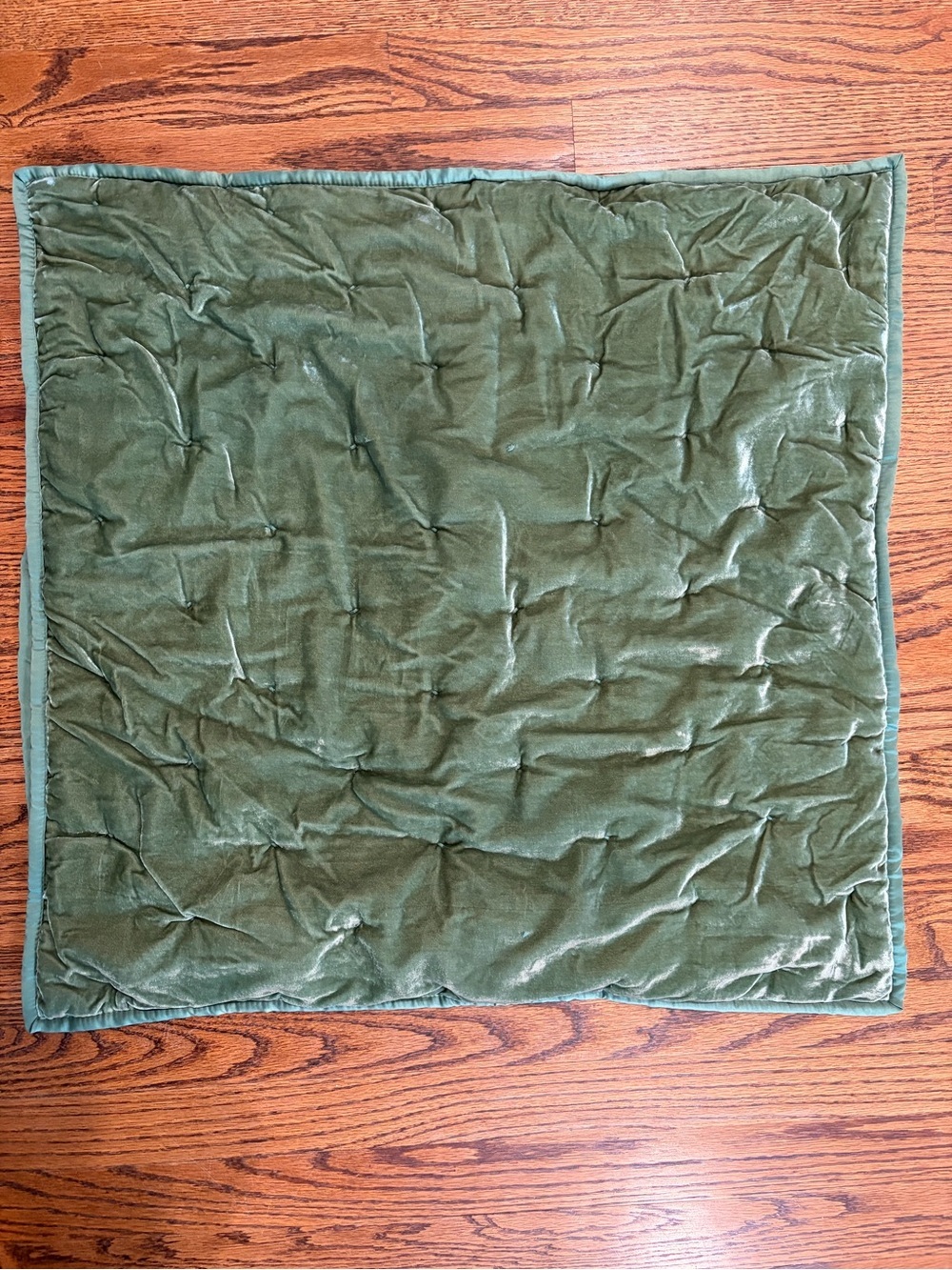 Crate & Barrel Audra Velvet Green Euro Sham Holiday/Christmas/Winter/Lodge